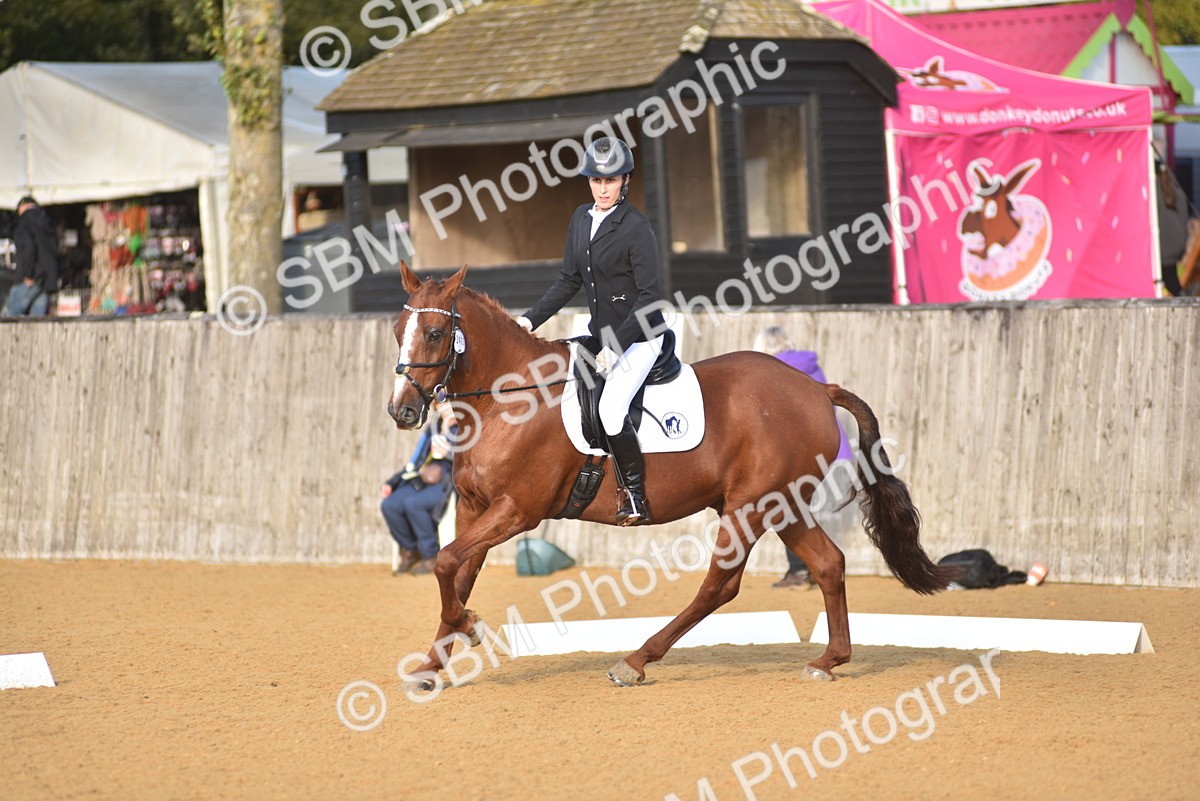 SBM_29713 - D16 -Small Tour Championship Novice 2