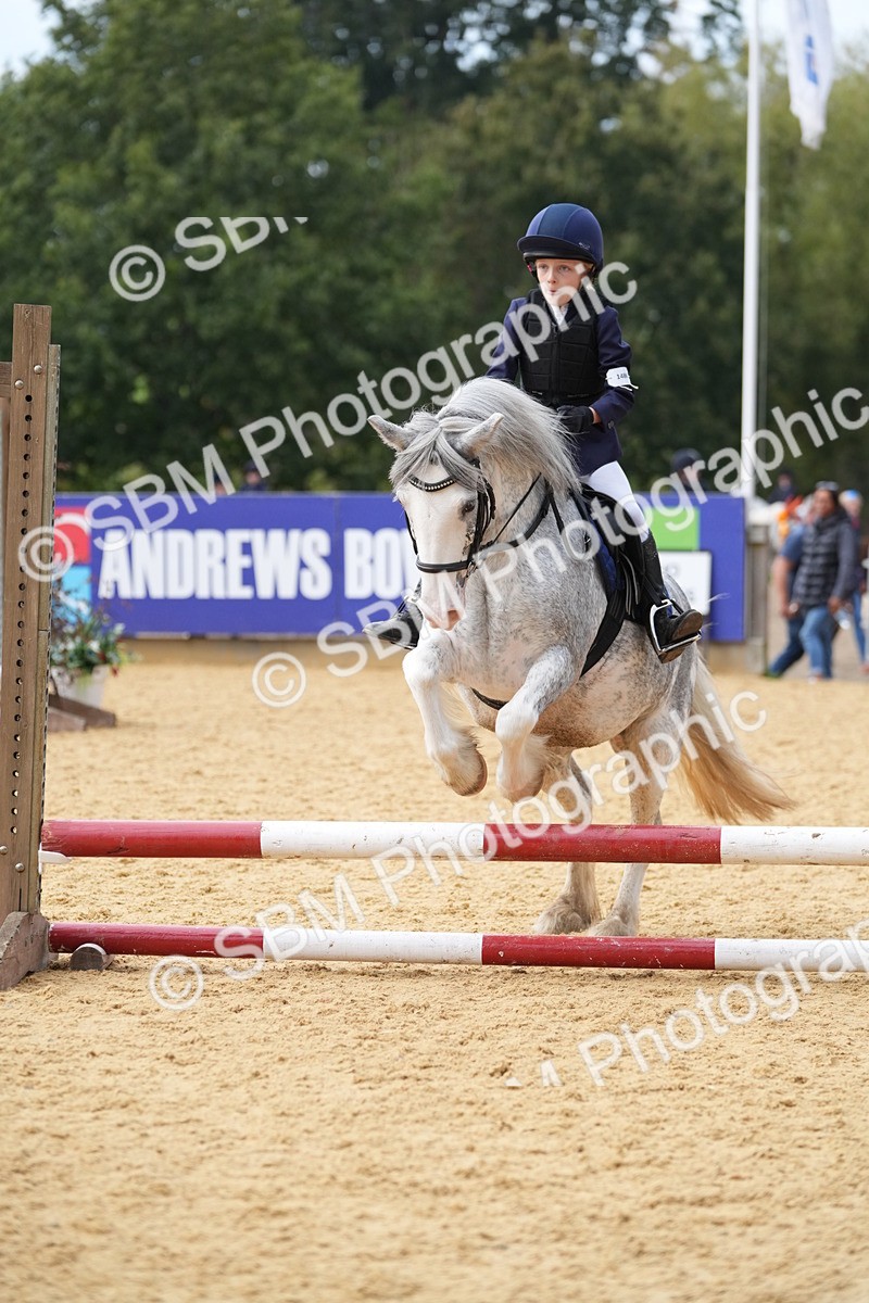SBM_74722 - J4 - Mini Tour Junior Pony 45cm Championship