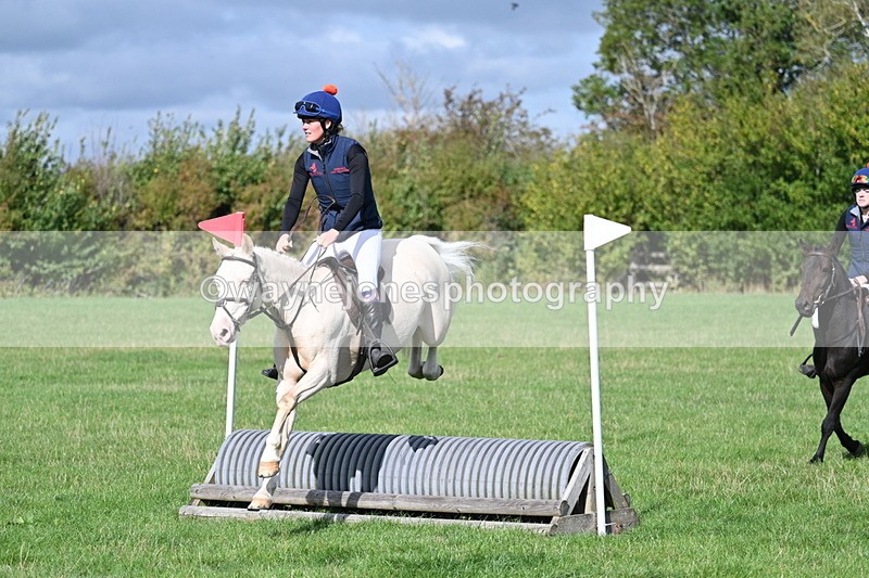 WJ7_8500 - 60cm Pairs