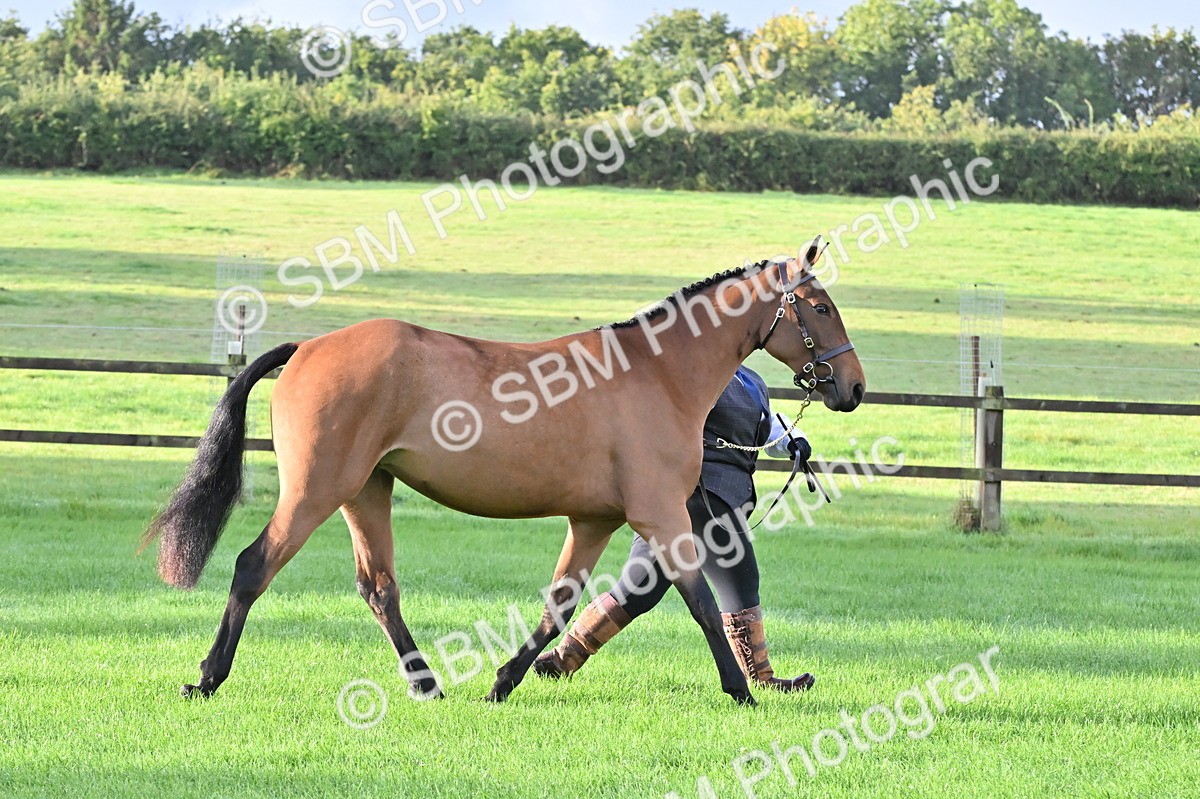 SBM_32592 - S15 - Top Turnout In Hand