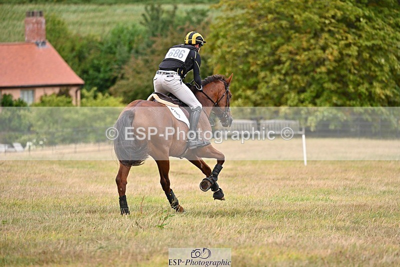 250803A-153707-16054 - O-686-Tom.Rowland-YOULL.NEVER.WALK.ALONE