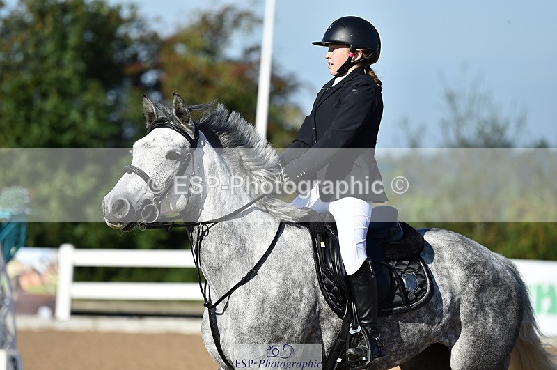 230903A-092318-03500 - Cls 17 Pony Intro 75cm