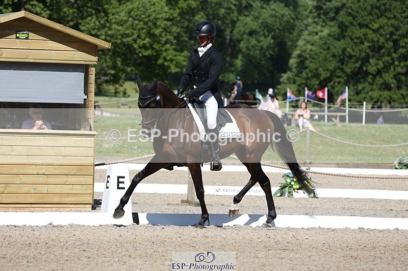 230526-102431-05250 - 361-FINCH_FANCY-Ben_Lee_Liles-WEDTrotUp+DR