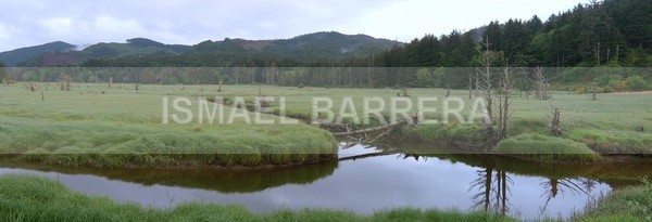 Down the stream - Panoramic