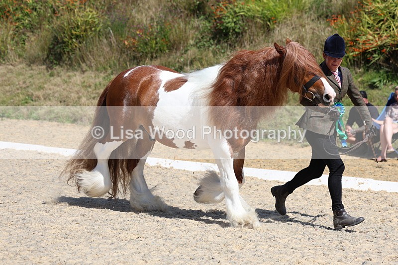 3E7A9886 - In Hand Championship