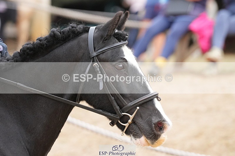 250820A-122744-06308 - Round 2, 11.45 to 12.30 End