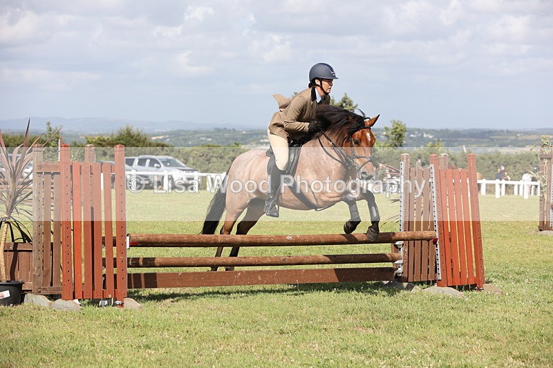 JPP_2646 - Class 20: Working Hunter 70cm