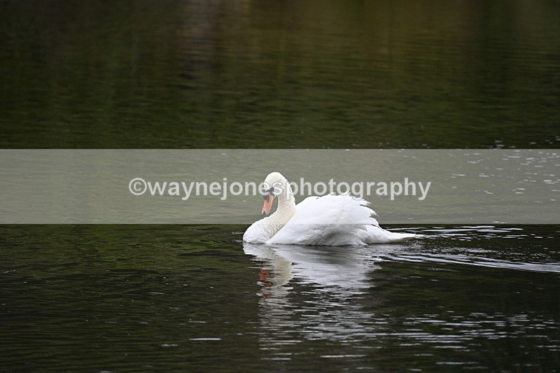 WJ7_6623 - Time at Water 09:30 to 10:00