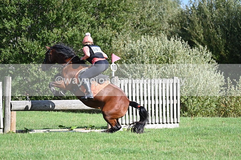 WJ7_1312 - Time 13:56 to 14:24