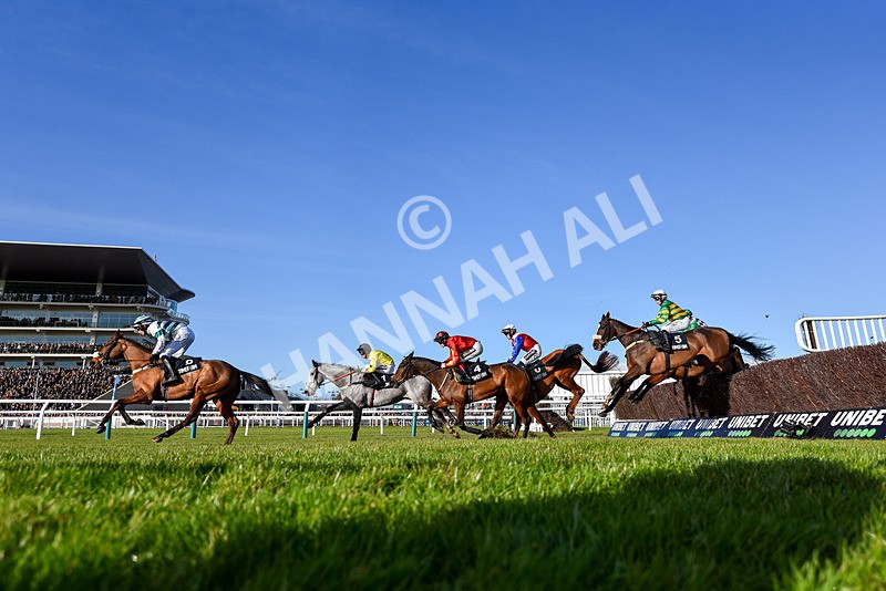 250125-Race 1-Jagwar-0252 - Race 1