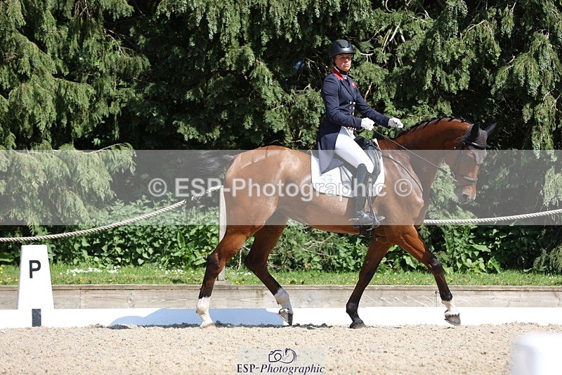 230526-152812-06708 - 381-CAROLINES_AIR_KM-Izzy_Taylor-WEDTrotUp+DR