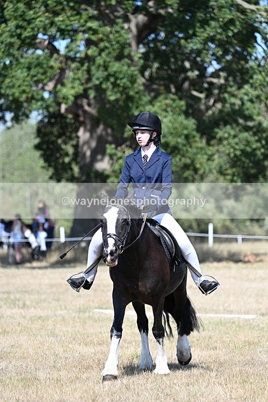 WJ7_0238 - Time 11:03 to 11:28