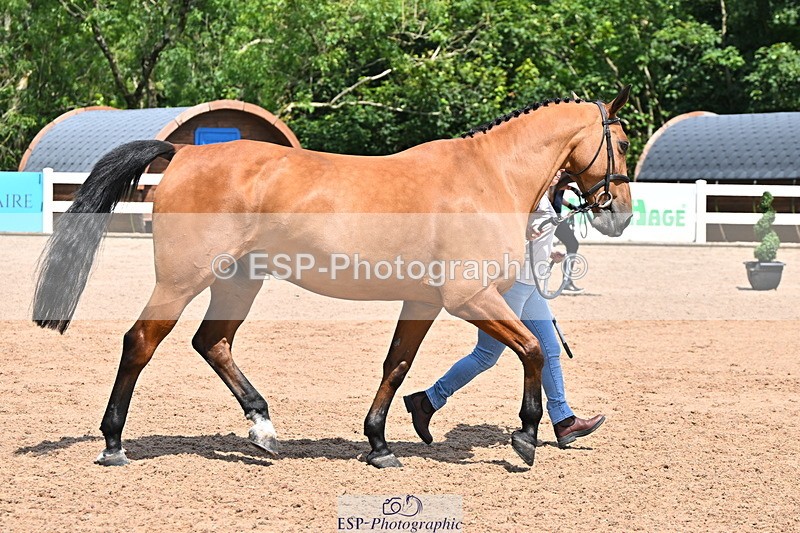 240718A-105300-01422 - Trot Up 12pm to 1pm