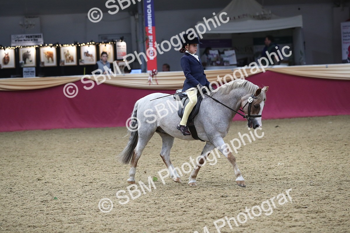 SBM_16413 - Class 502 M&M Ridden Supreme Final