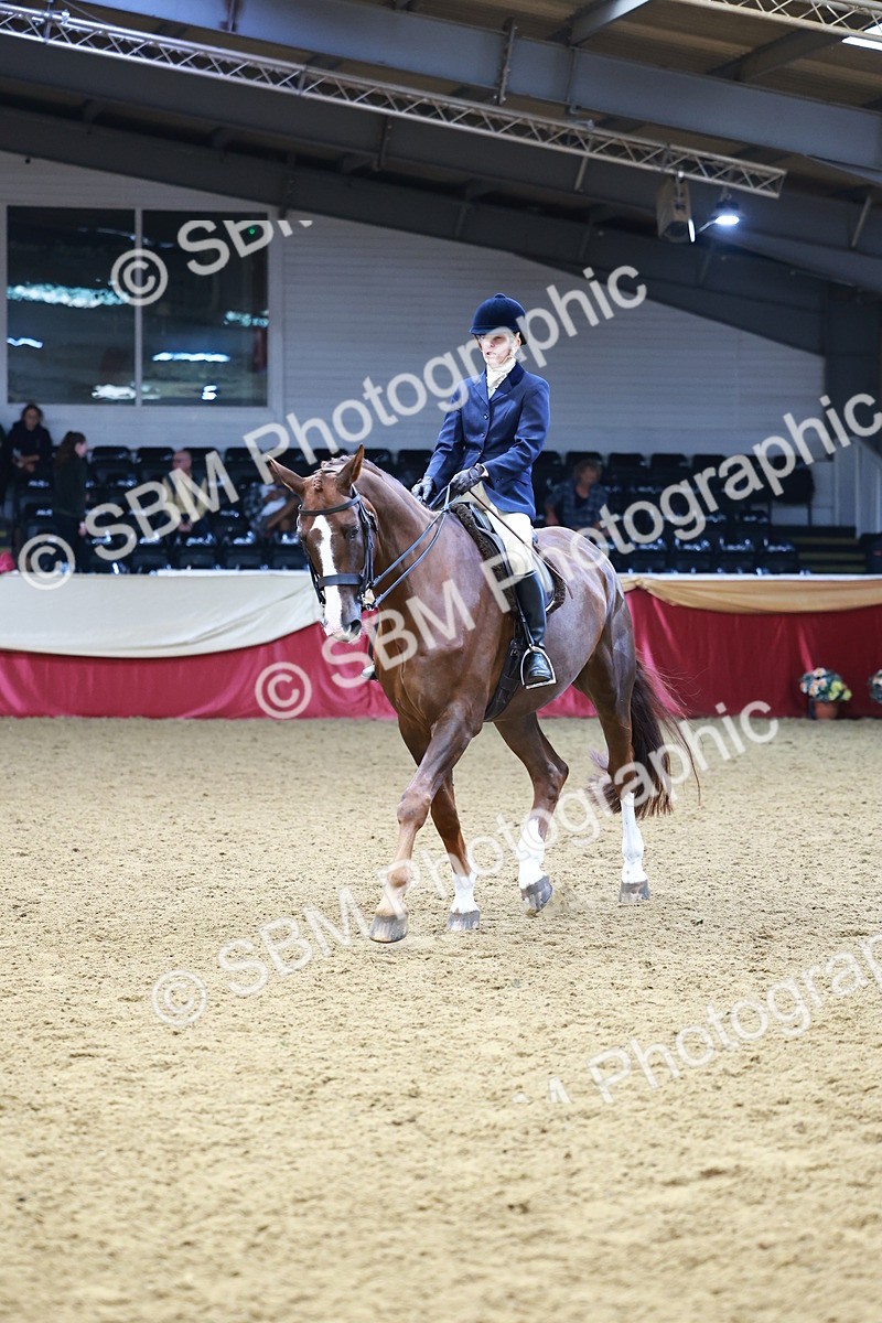 SBM_23428 - class 906 - Supreme Final - Ridden Pre Vet