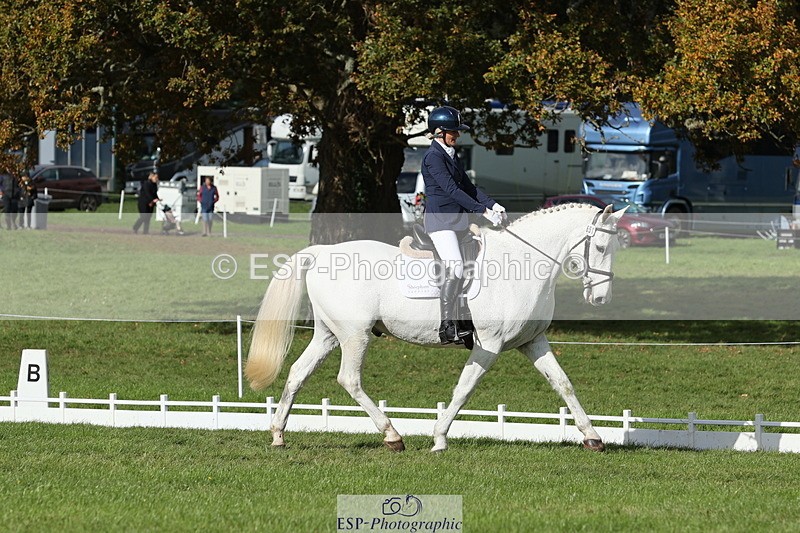 251024A-133017-12586 - H-651-Victoria.Tar