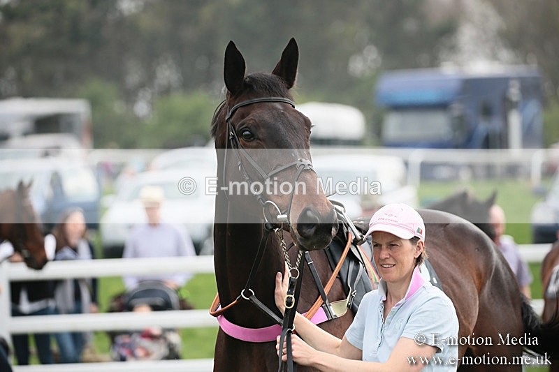 PtP 210418 160 - South & West Wilts Point-to-Point Larkhill 21/04/18