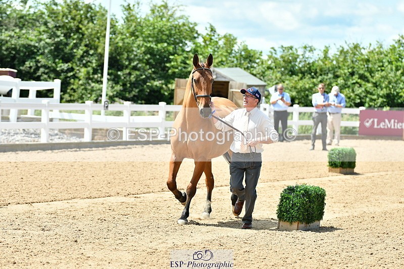 230719A-130414-00265 - Trot Up 1pm to 2pm