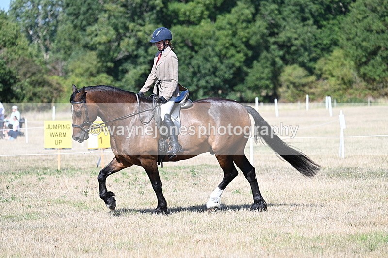 WJ7_3924 - Class 9 Mountain & Moorland Ridden