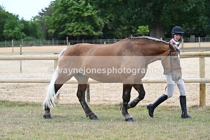 WJ7_8908 - Class 4a Prettiest Mare 14.2hh and over