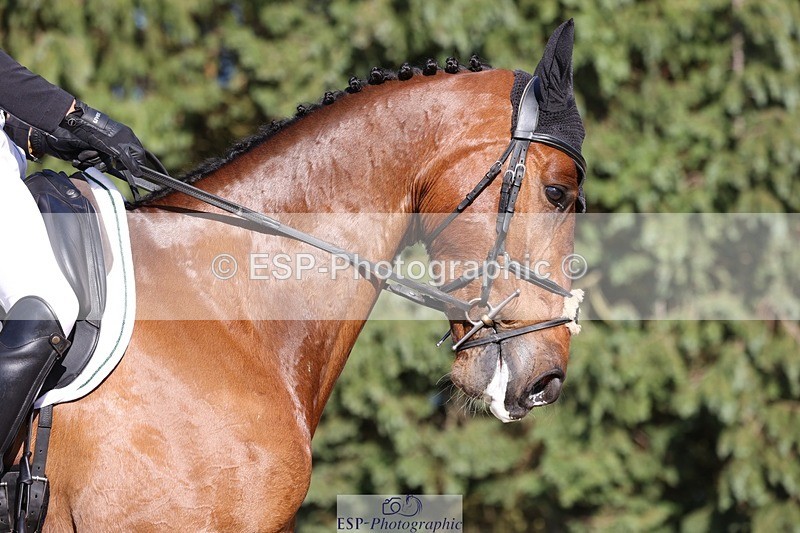 230526-174210-08014 - 180-GUEULE_DE_REVE-Arthur_Duffort-WEDTrotUp+DR