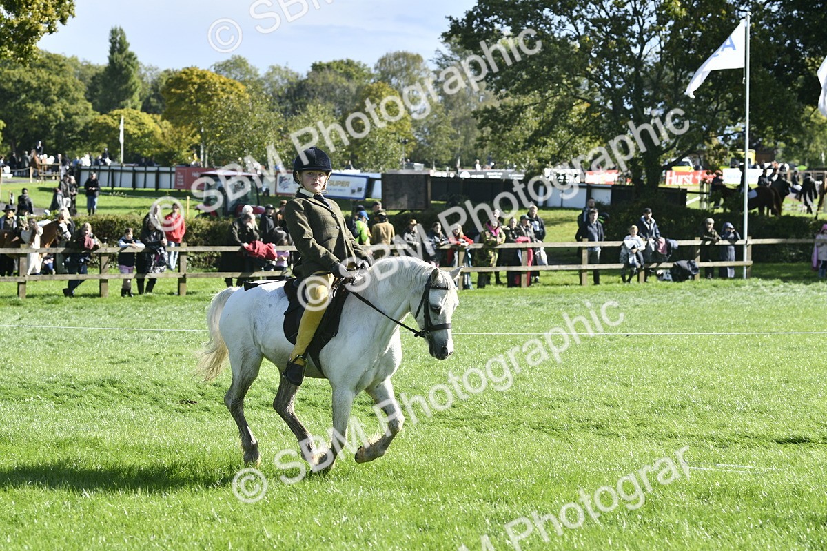 SBM_37264 - S31 - Novice & Newcomer Working Hunter Pony