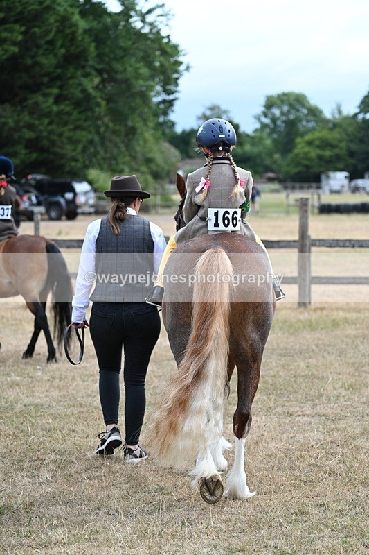 WJ7_6282 - Class 1 Lead Rein Pony