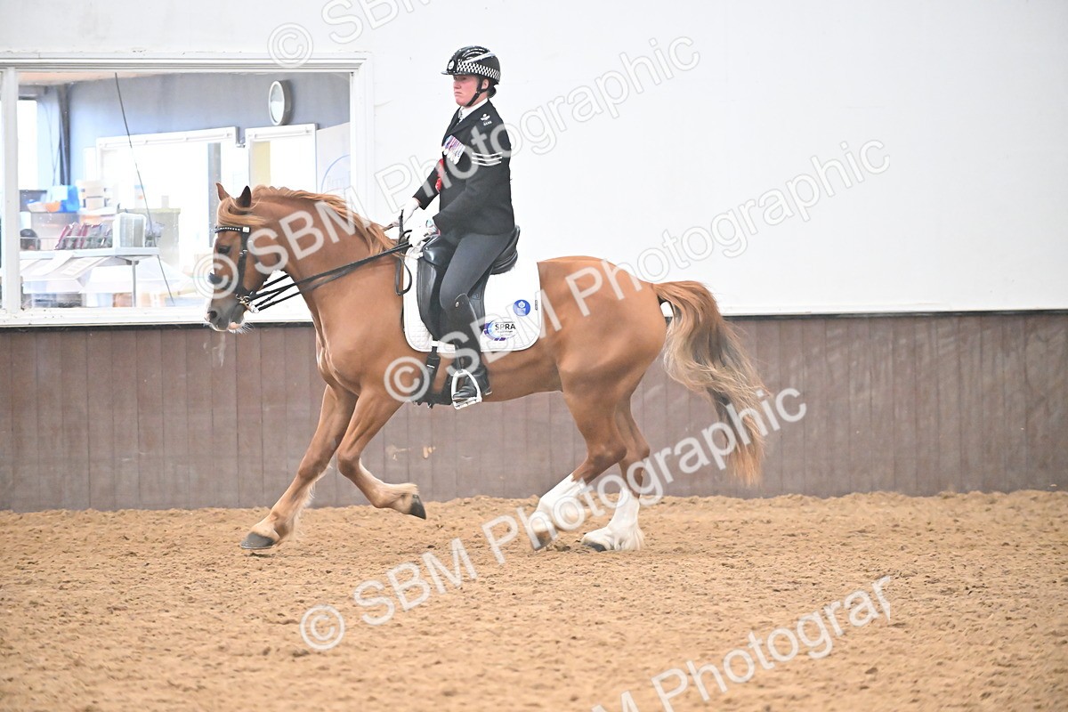 SBM_002743 - Ridden Showing Supreme Championships