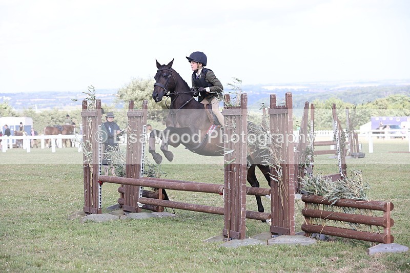 JPP_2774 - Class 20: Working Hunter 70cm