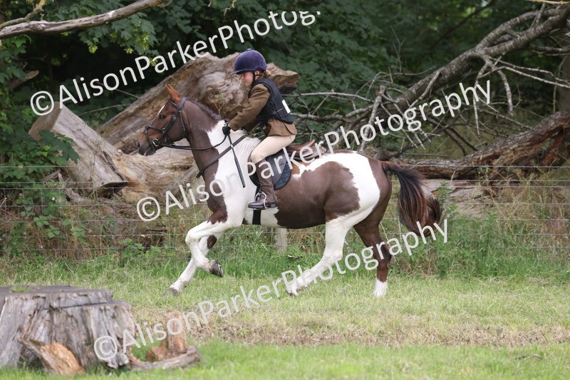 20260614-3072 - Class 22 - Open Working Hunter