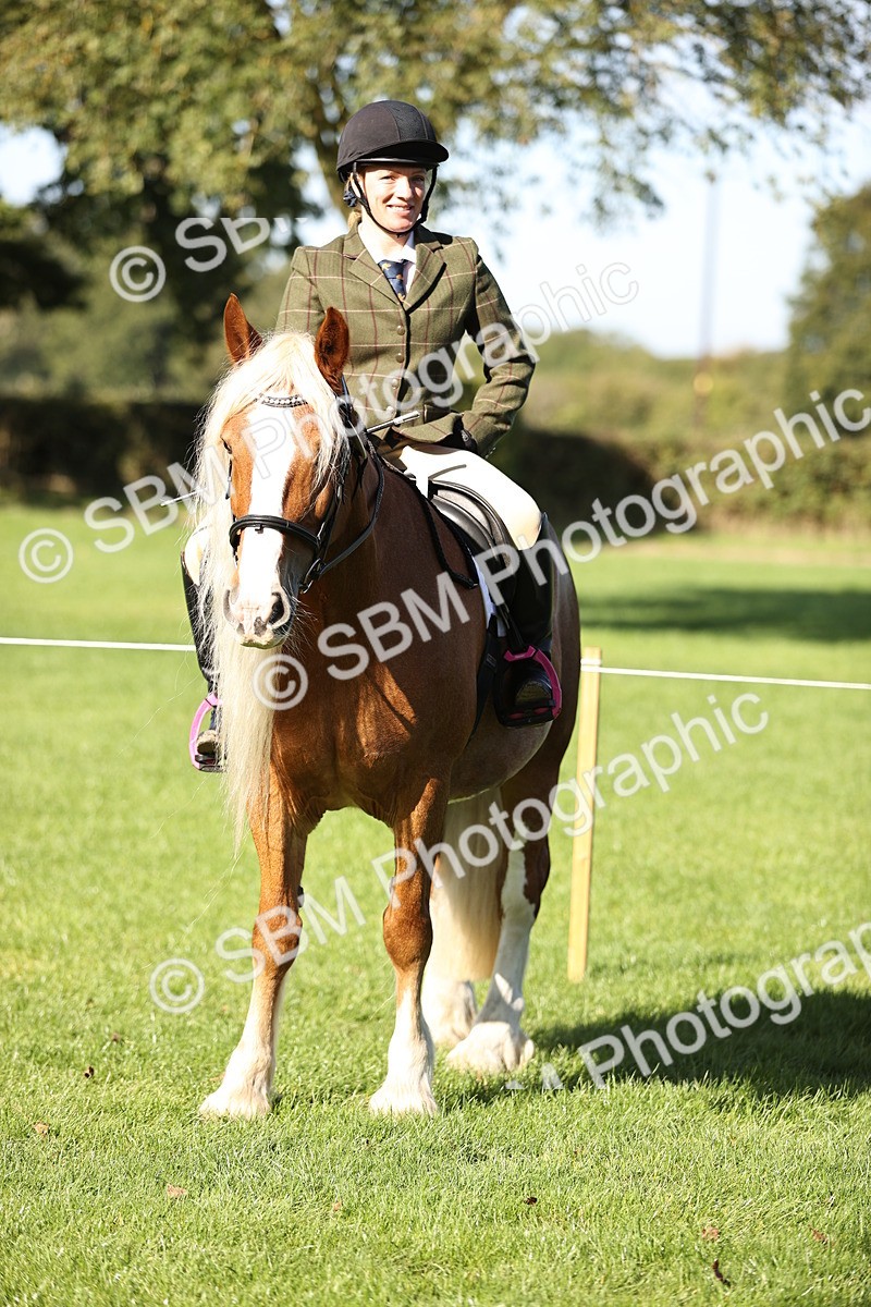 SBM_16925 - S2 - TSR Ridden Pony Showing