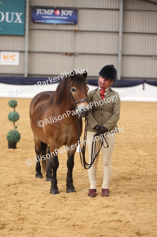 20260913-1712 - Class 115 - Gelding 4years and over