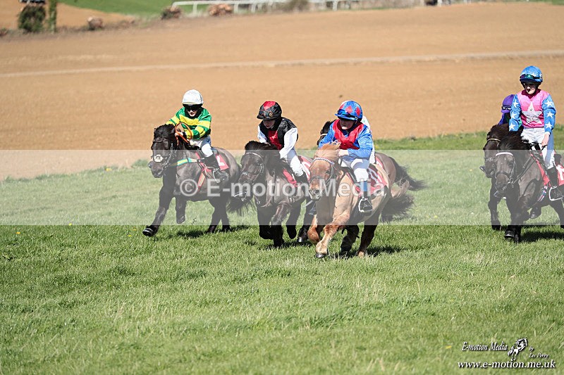 Shet 060426 268 - Shetland Pony Racing Paxford Races Easter Mon 06/04/26