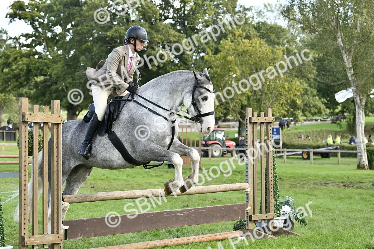 SBM_52195 - S35 - Working Hunter & Working Show Horse