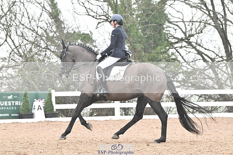 250215-133331-03889 - 165-Elder.Klatzko-Dynasty.Hit