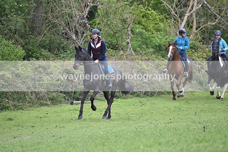 WJ6_2931 - A Camera