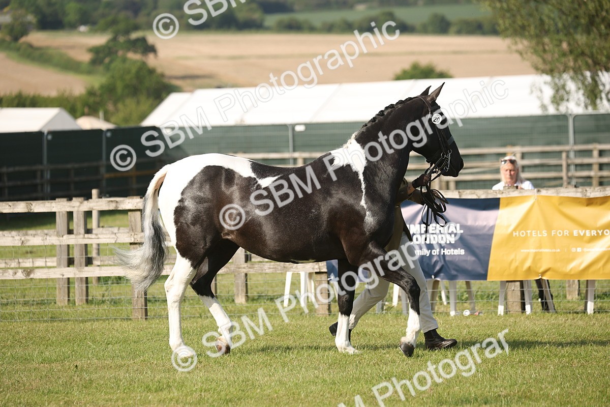 SBM_10472 - Class 33-38 - SSADL RIHS Qualifiers