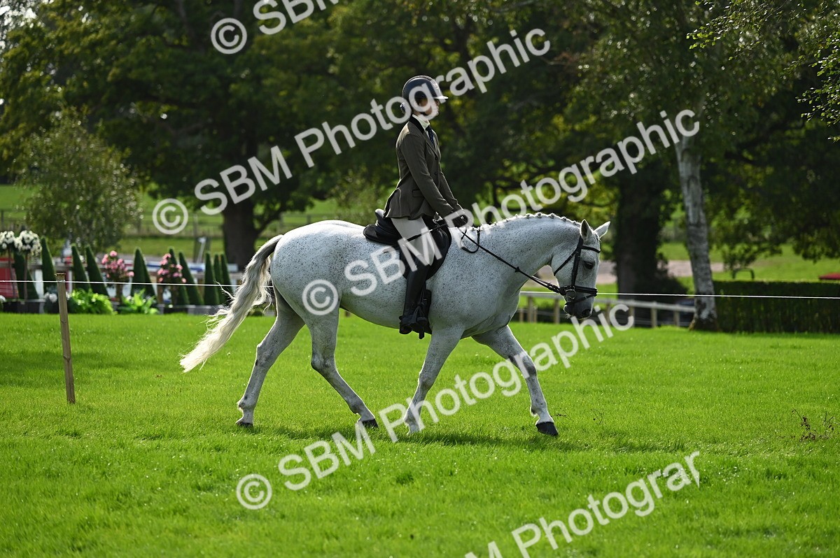 SBM_02621 - S3 - TSR Ridden Pony Showing