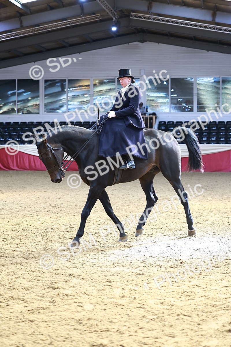 SBM_23491 - class 906 - Supreme Final - Ridden Pre Vet