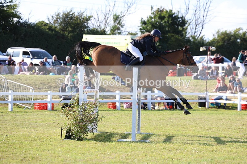 3E7A4358 - Class C: Showjumping Senior Foxhunter