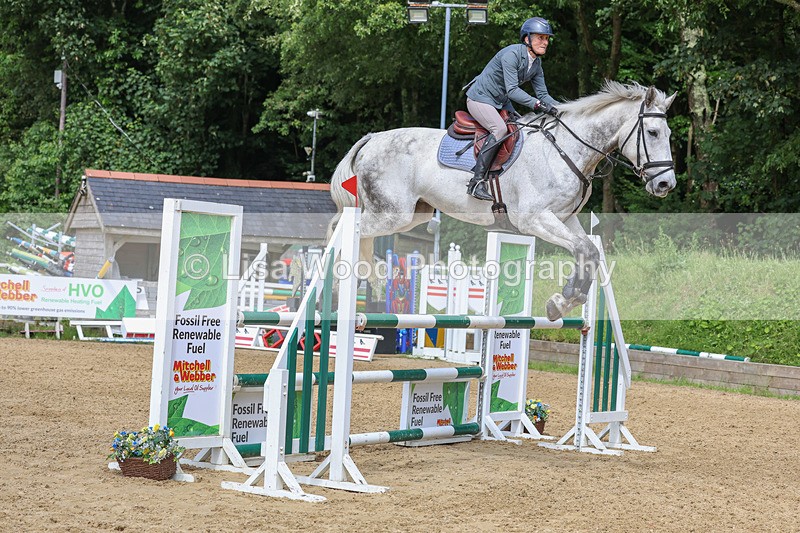 3E7A7561 - Class 9: Senior Foxhunter/1.20 open