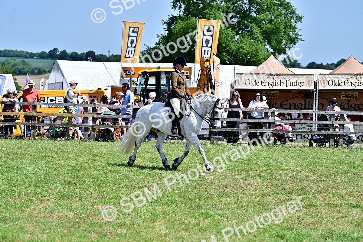 SBM_15384 - Class 95-97 - BSPS LHS Performance Ponies