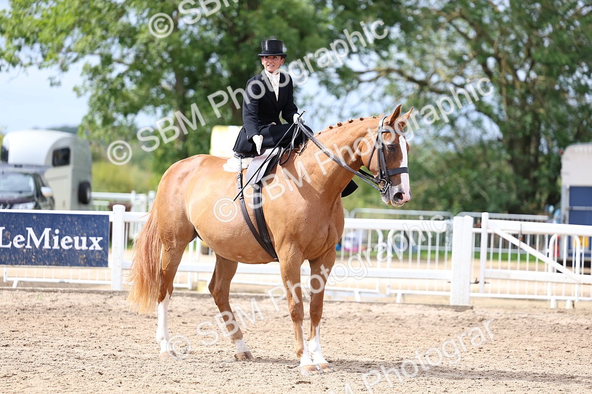 SBM_03349 - Class 23 - SSA Classical (any age)