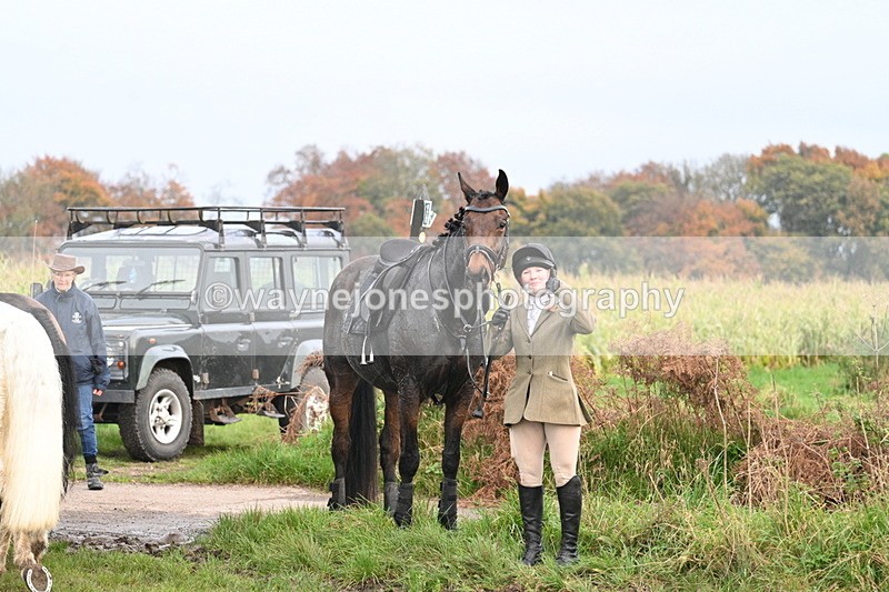 WJ7_0525 - Camera 1 & Last fence
