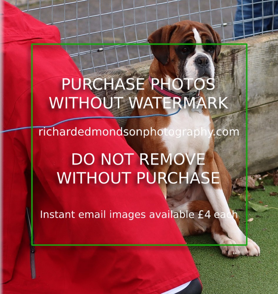 IMG_2486 - Ambleside v Carlisle 3rds