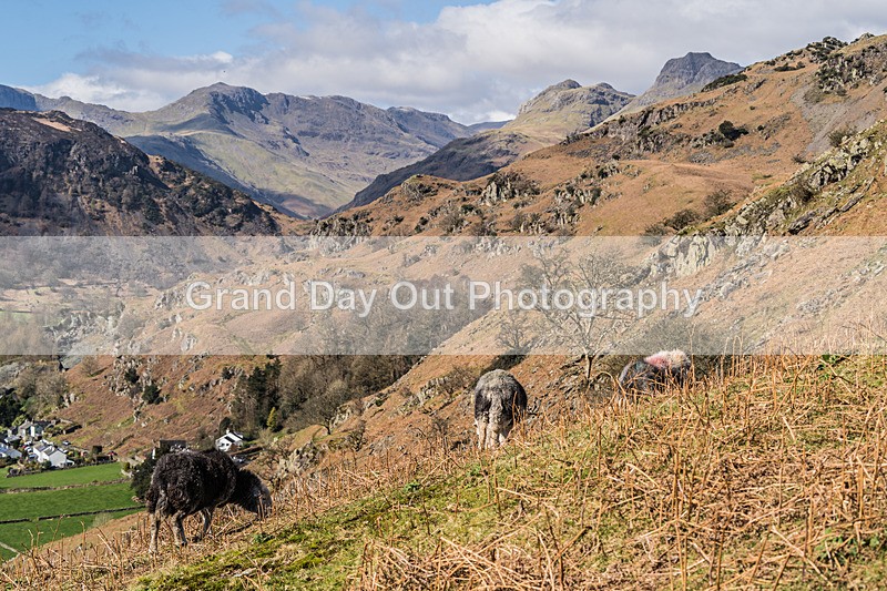 Elterwater-149 - Kendal Winter League Races Elterwater Sunday 24th March 2024