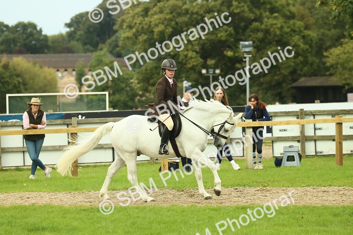 SBM_71979 - S60 - Mountain & Moorland Ridden Large Breeds