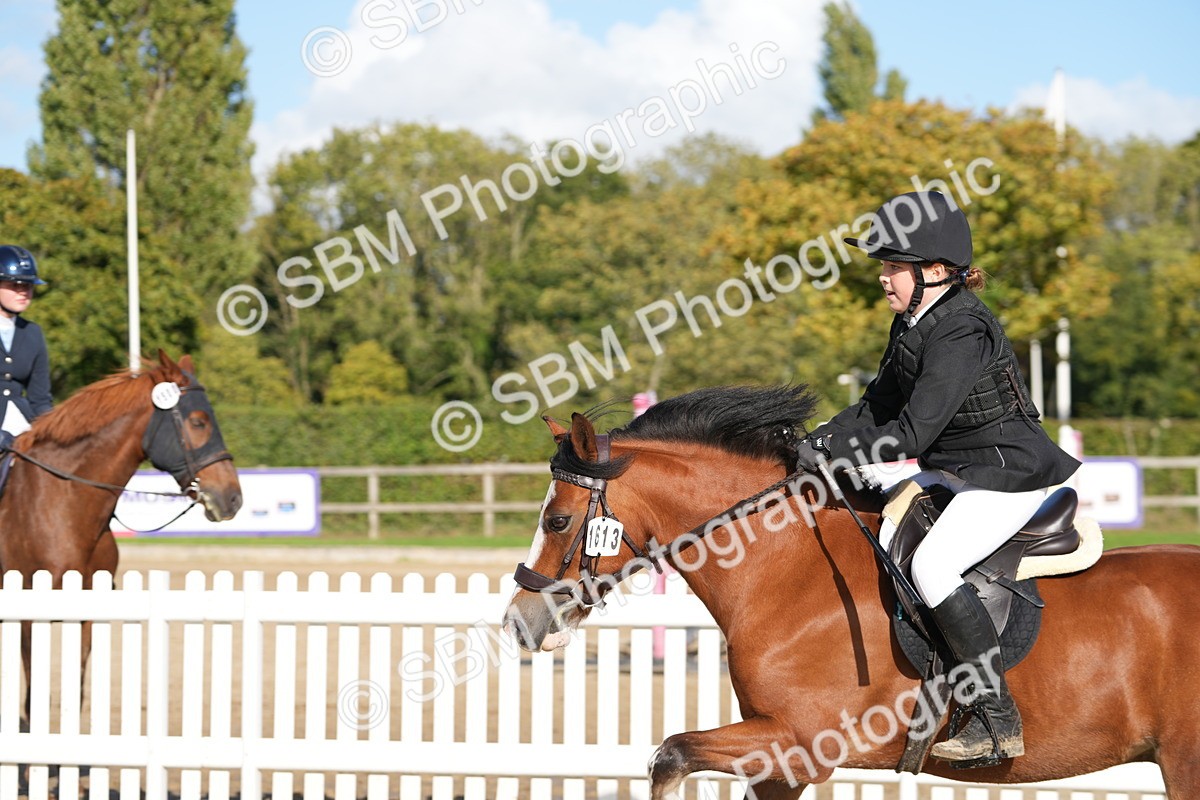 SBM_49394 - J8 - Junior Pony 65cm Championship