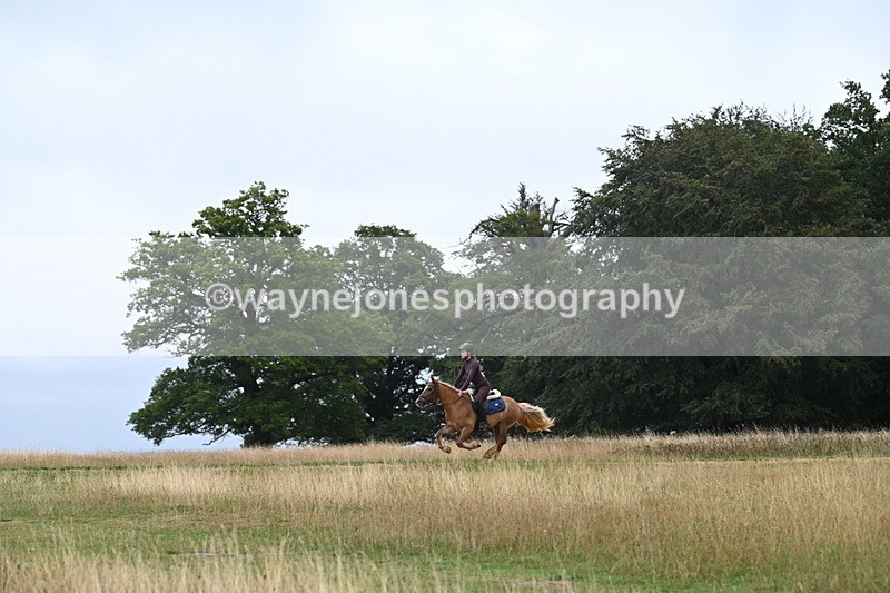 DSC_0143 - Time at Statue 09:51 to 10:54