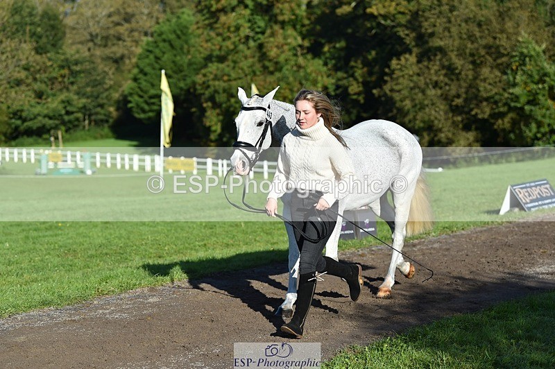 231022-101028-22285 - 443-OVERLEY.STORMBREAKER-Laney.Cridland-TrotUp+SJ